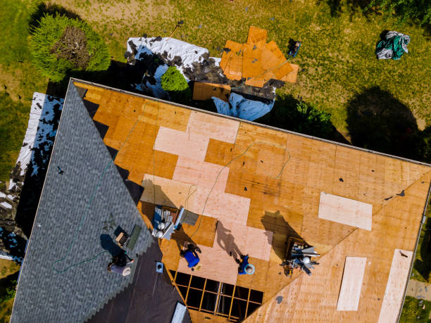 Best Commercial Roof Installation  in Elsa, TX