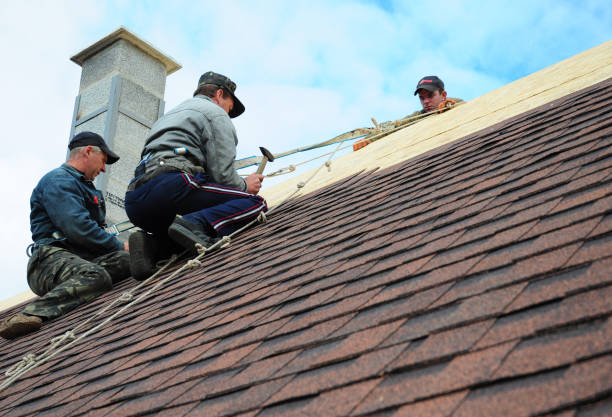 Best Gutter Installation and Roofing  in Elsa, TX